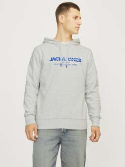 Jack Jones Alvıs Kapüşonlu Erkek Sweat 12256848 - Jack Jones (1)