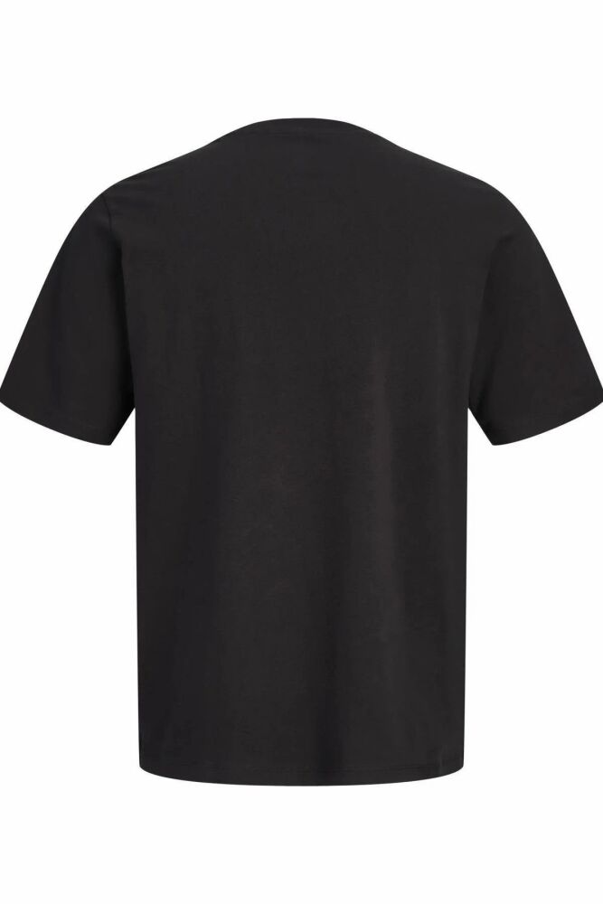 Jack Jones Cassıs Regular Fit Erkek Tişört 12301961 (1)