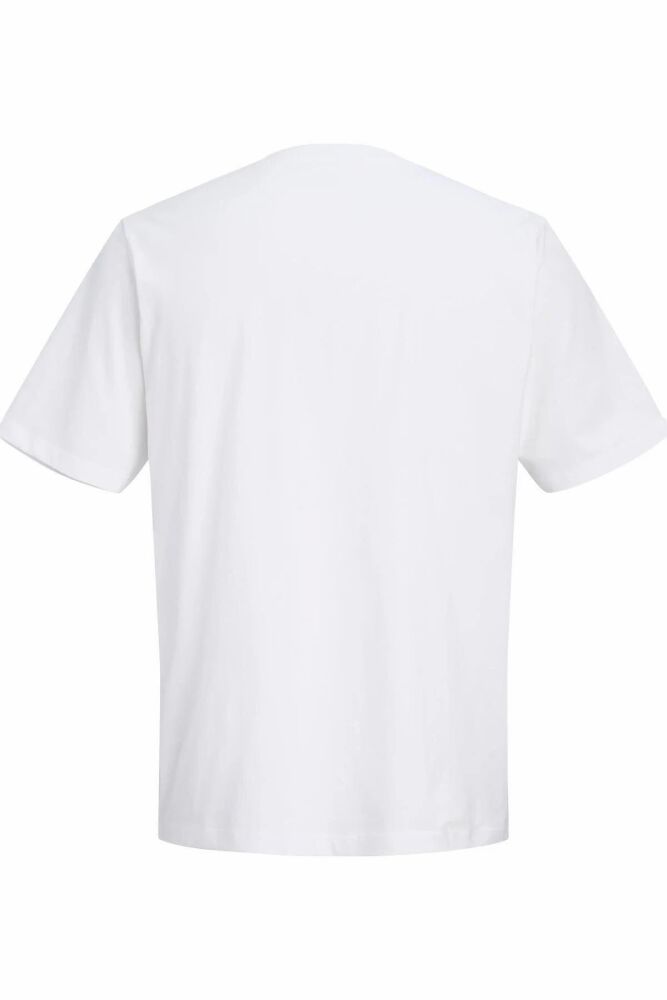 Jack Jones Cassıs Regular Fit Erkek Tişört 12301961 (1)