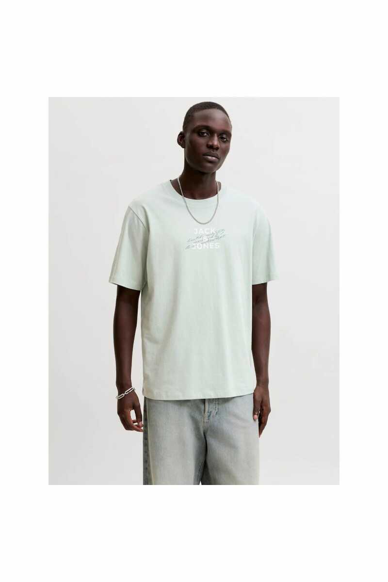 Jack Jones Etorna Front Print Regular Fit Erkek Tişört 12298583