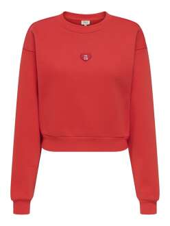 Only Evısa Regular Fit Kadın Sweat 15358296 - 4