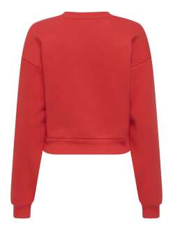 Only Evısa Regular Fit Kadın Sweat 15358296 - 2