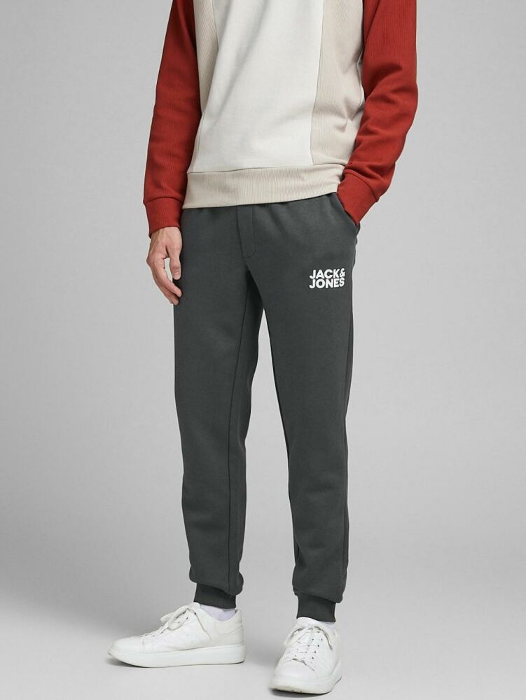 Jack Jones Gordan New Soft Erkek Eşofman Altı 12178421 (1)