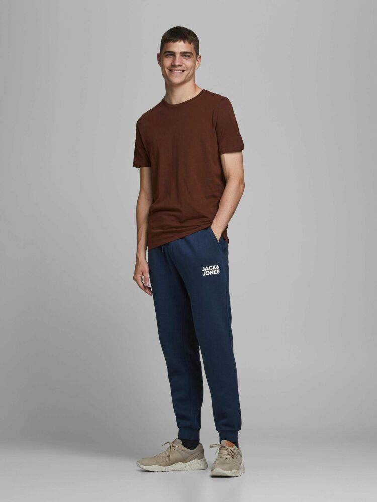 Jack Jones Gordan New Soft Erkek Eşofman Altı 12178421