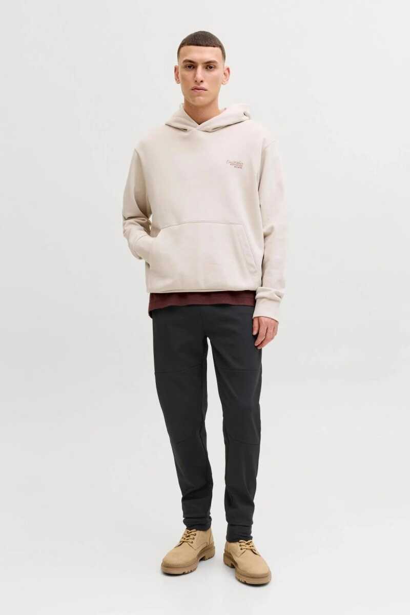 Jack Jones Gordon Base Regular Fit Erkek Eşofman Altı 12288623