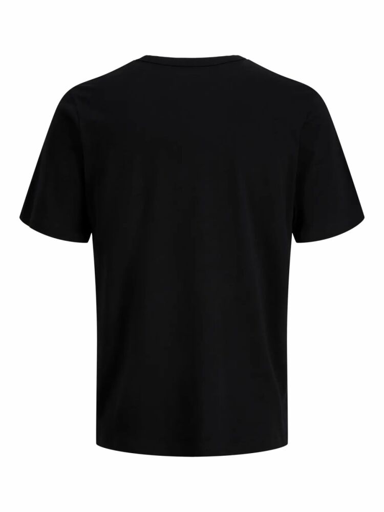 Jack Jones Leveland Regular Fit Erkek Tişört 12298439 (1)