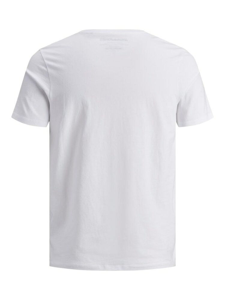 Jack Jones Organık Basıc Erkek Tişört 12156101 - 2
