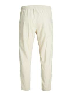Jack Jones Stace Breeze Erkek Joger Pantolon 12229699 - Jack Jones (1)