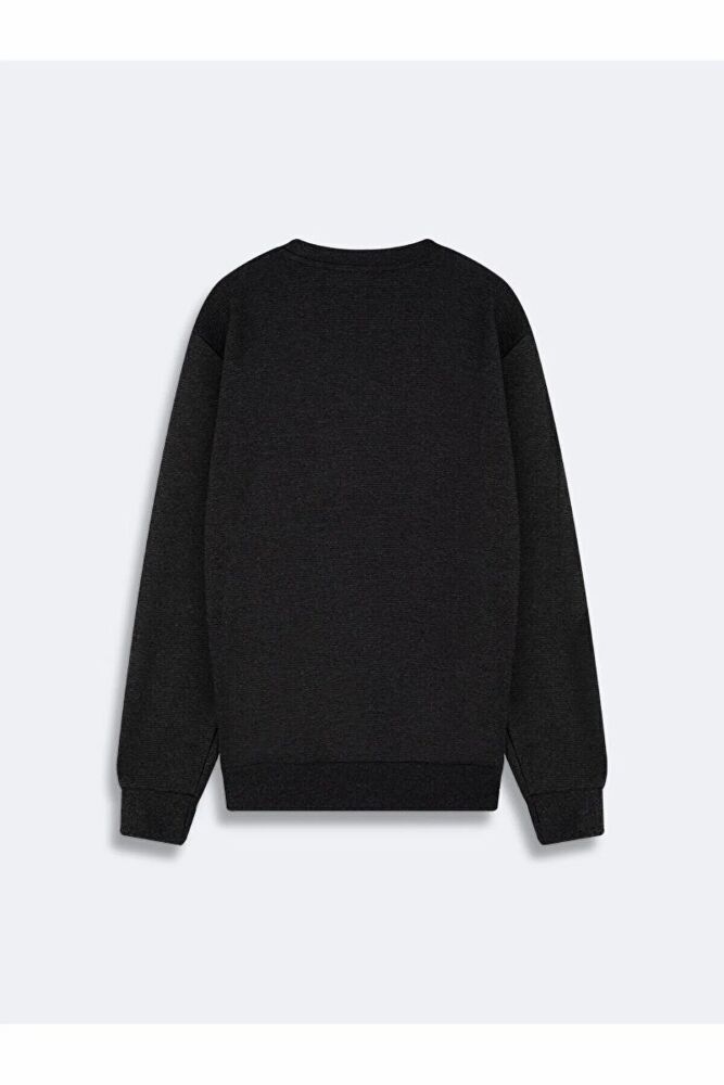 Ltb Fısıdı New Erkek Sweat (1)