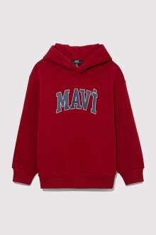 Mavi Baskılı Kapişonlu Çocuk Sweat 6610110-70392 - Mavi (1)