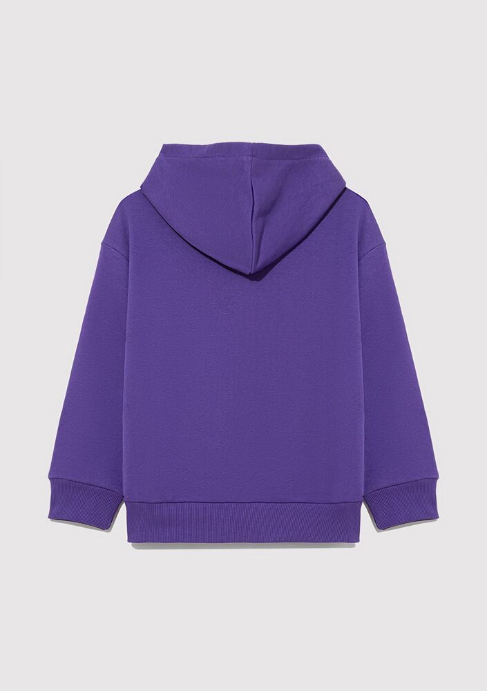 Mavi Baskılı Kapüşonlu Çocuk Sweat 6S10113-70692 - 2
