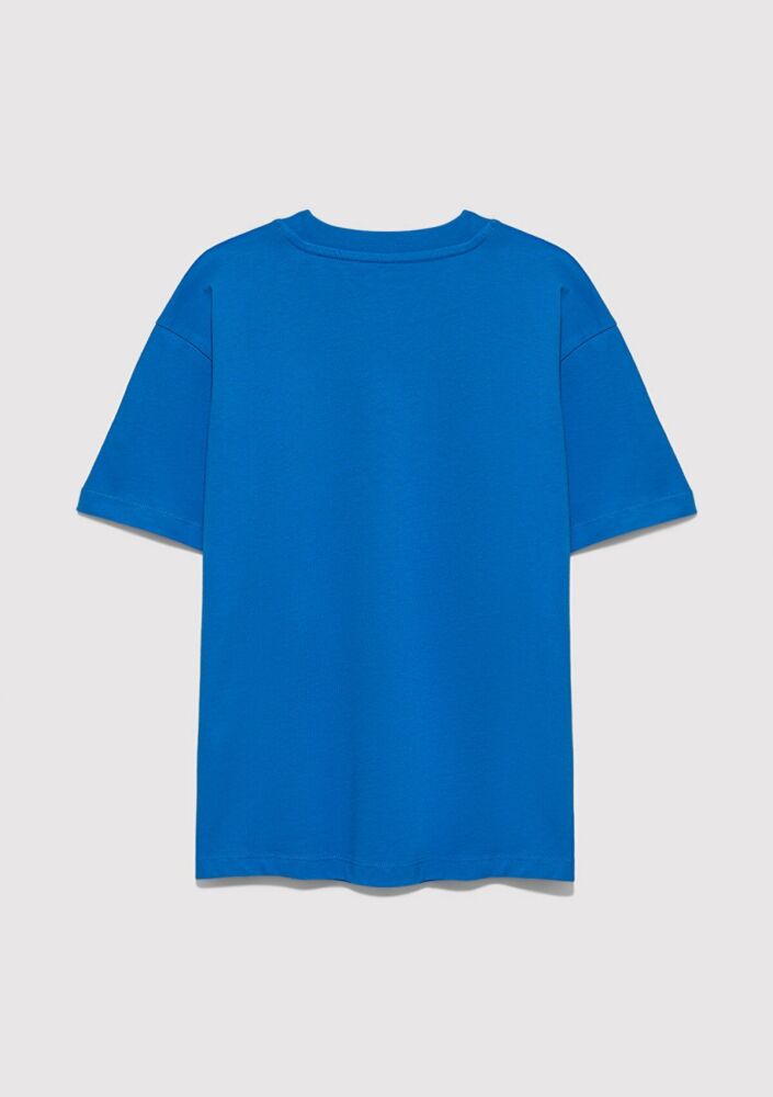 Mavi Baskılı Mavi Loose Fit Çocuk Tişört 6610484-70902 (1)