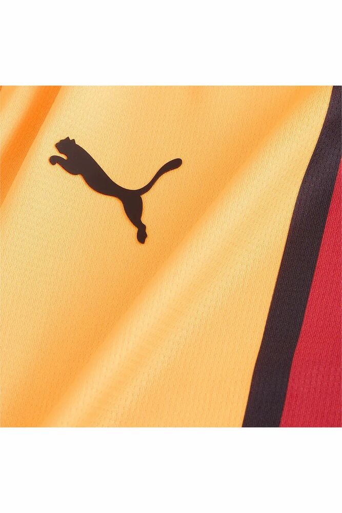 Puma Giyim Kulüp Takımları Galatasaray Sk 2024/2025 Çocuk Futbol İç Saha Forması 77965901 - 4