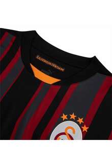 Puma Giyim Kulüp Takımları Galatasaray Sk 2024/2025 Erkek Futbol Forması 77965403 - 3