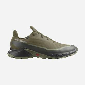 Salomon Alphacross 5 Gore-Tex Erkek Koşu Ayakkabısı L47310300 - 1