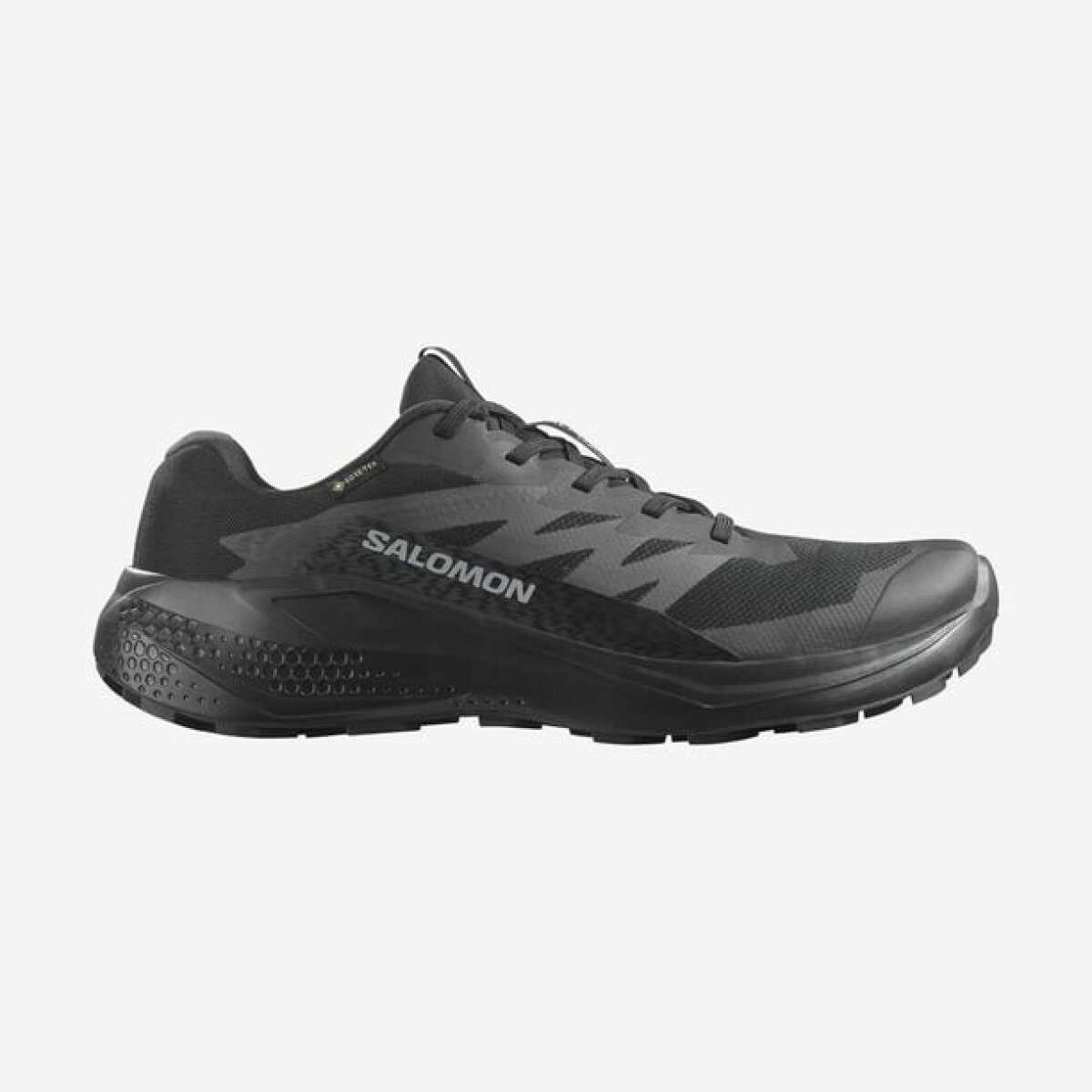 Salomon Alphaglıge Gore-Tex Erkek Ayakkabı L47802100