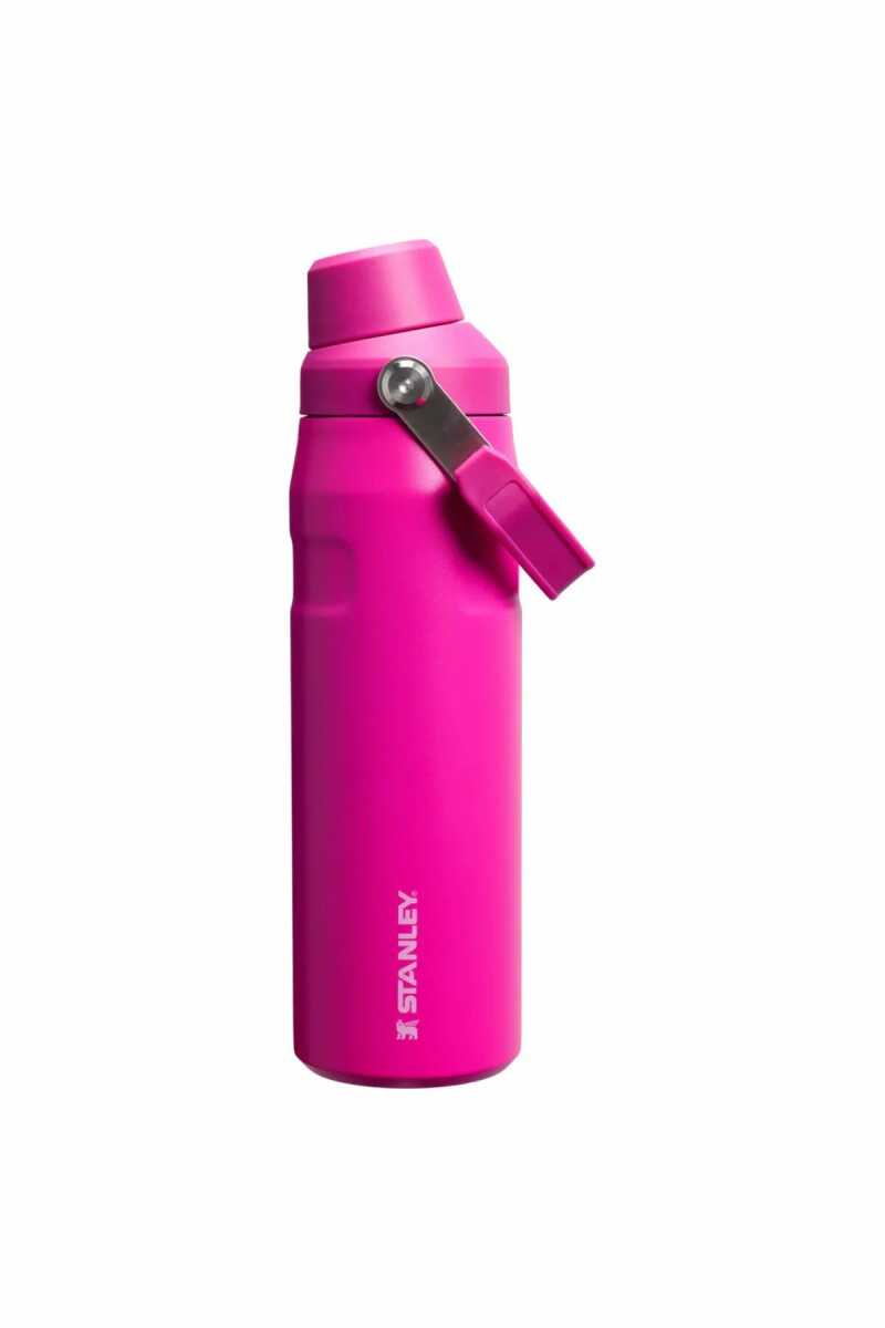 Stanley The Iceflow™ Bottle Fast Flow Soğuk Su Termosu | 0.7L / 24Oz Mor 10-11287-588