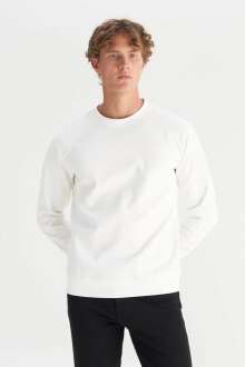 Wrangler Erkek Interlock Sweatshirt W2520534100 - 3
